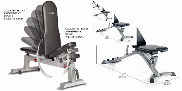 CAP Barbell Deluxe Utility Weight Bench vs Bowflex SelectTech 3.1 Adjustable Bench